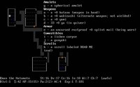 nethack-3.jpg - DOS