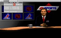 nhl_94-02.jpg for DOS