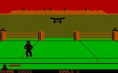 ninja-mastetronic-02.jpg - DOS