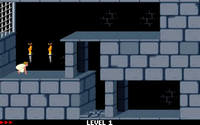 princeofpersia-2.jpg - DOS