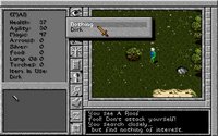 prophecy-shadow-03.jpg for DOS