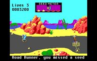 road-runner-06.jpg
