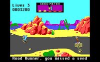 road-runner-06.jpg for DOS