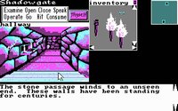 shadowgate-3.jpg for DOS