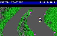 skateordie-6.jpg - DOS