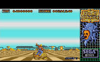 space_harrier-3.jpg for DOS