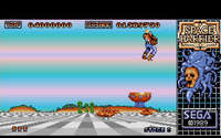 space_harrier-4.jpg - DOS