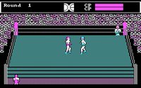 tag-team-wrestling-02.jpg - DOS