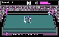 tag-team-wrestling-04.jpg - DOS