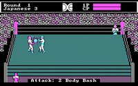 tag-team-wrestling-05.jpg - DOS