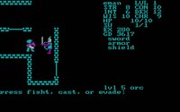 telengard-3.jpg for DOS