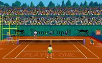 tennis-cup-2-03.jpg for DOS