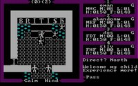 ultima3-2.jpg