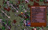 ultima7part2-6.jpg - DOS