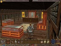 ultima9-02.jpg - Windows XP/98/95