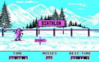 winter-olympiad-88-03.jpg - DOS