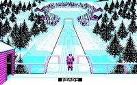 winter-olympiad-88-06.jpg - DOS