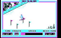 winter-olympiad-88-09.jpg for DOS
