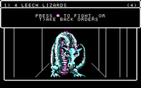 wizardry-5-5.jpg