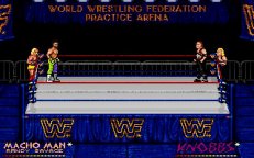 wwf-euro-04.jpg - DOS