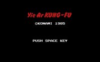 yie-ar-kung-fu-01.jpg for DOS