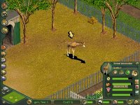 Download ZOO TYCOON - Abandonware Games