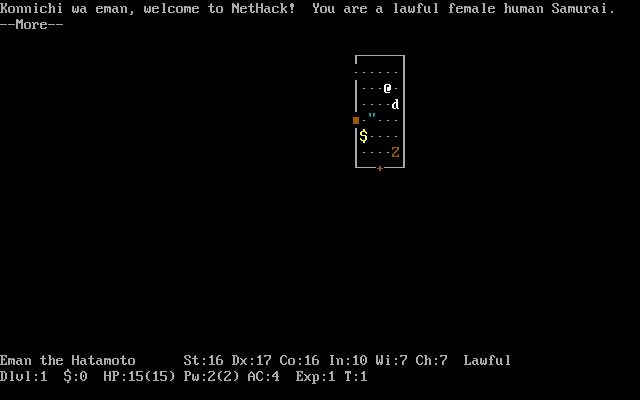 nethack screenshot for dos