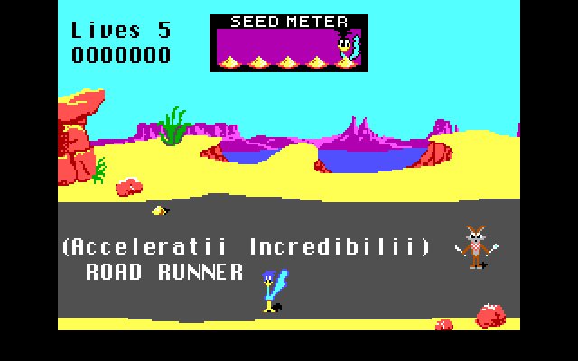 Road Runner screenshot