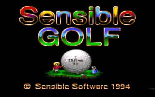 sensible-golf screenshot for dos