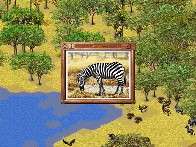 simsafari screenshot for winxp