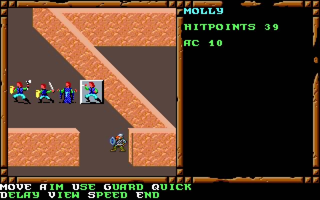 treasures-of-the-savage-frontier screenshot for dos